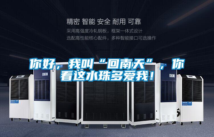 你好，我叫“回南天”，你看這水珠多愛我！