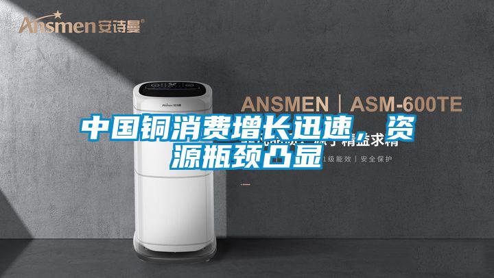 中國(guó)銅消費(fèi)增長(zhǎng)迅速，資源瓶頸凸顯