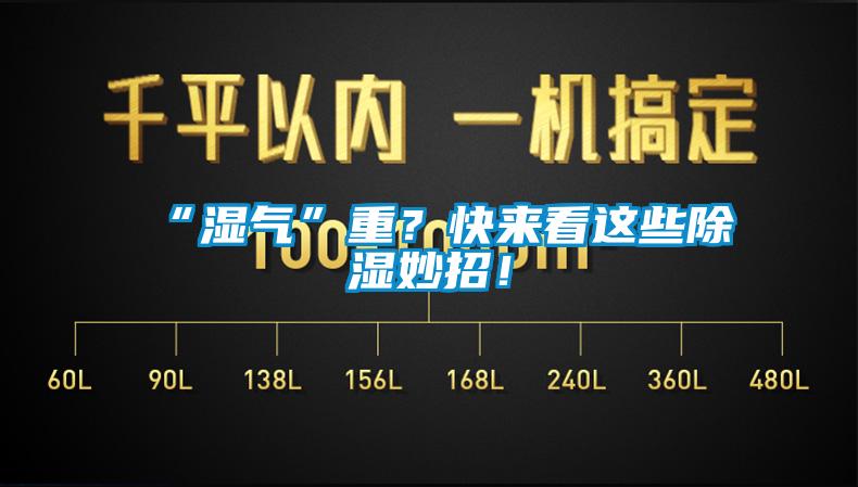 “濕氣”重？快來(lái)看這些除濕妙招！