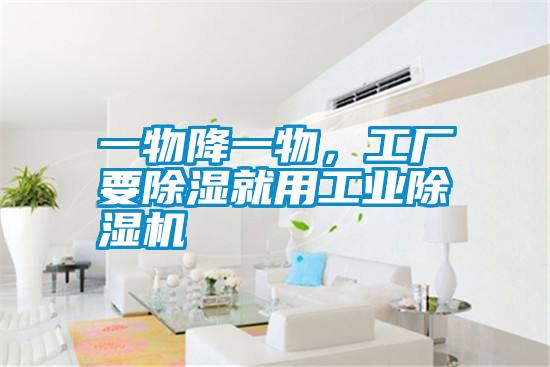 一物降一物，工廠要除濕就用工業(yè)除濕機