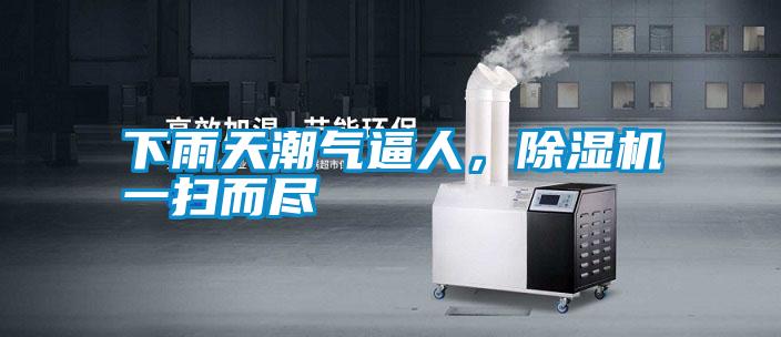下雨天潮氣逼人，除濕機一掃而盡