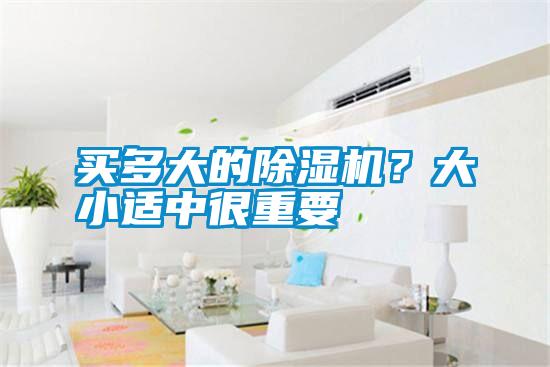 買多大的除濕機(jī)？大小適中很重要
