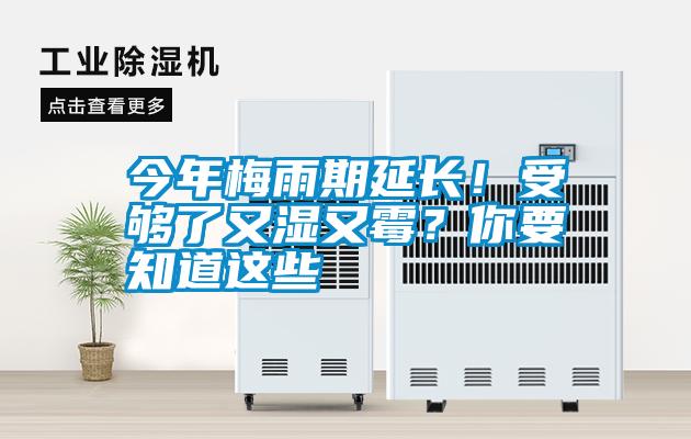 今年梅雨期延長！受夠了又濕又霉？你要知道這些