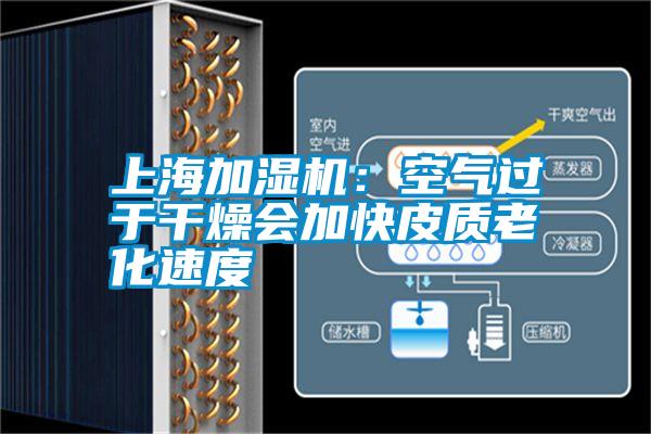 上海加濕機:空氣過于干燥會加快皮質(zhì)老化速度