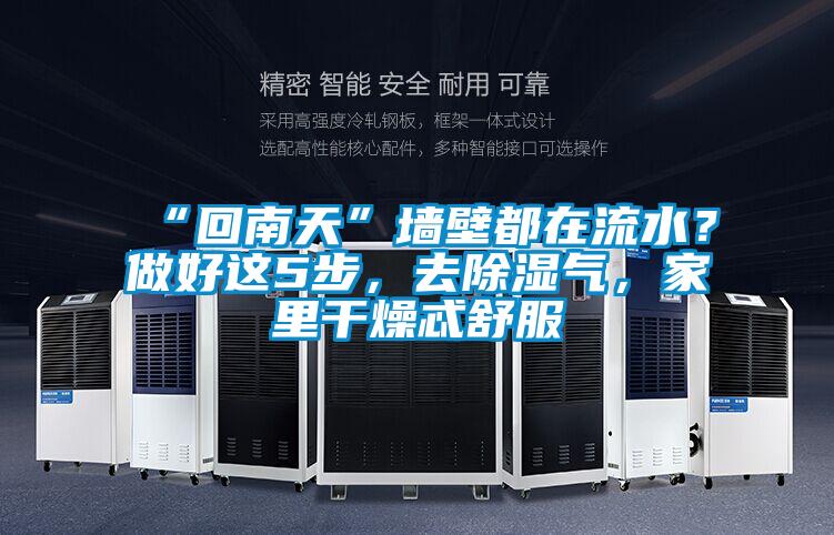 “回南天”墻壁都在流水？做好這5步，去除濕氣，家里干燥忒舒服