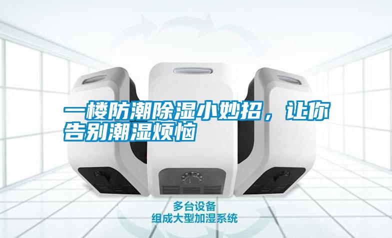 一樓防潮除濕小妙招，讓你告別潮濕煩惱