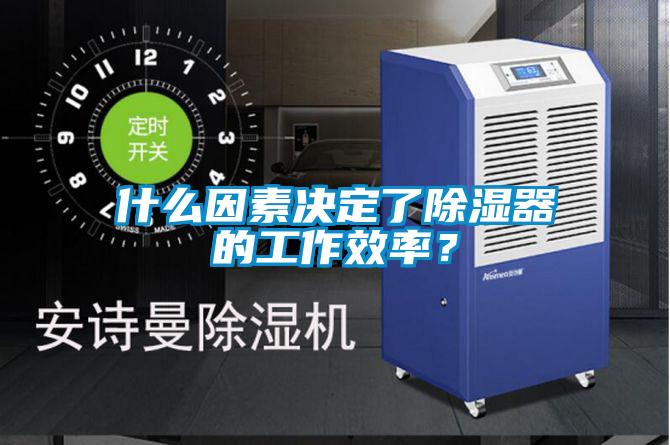 什么因素決定了除濕器的工作效率？