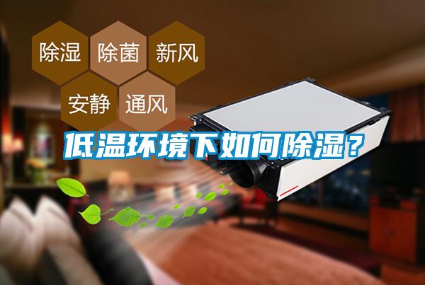 低溫環(huán)境下如何除濕？