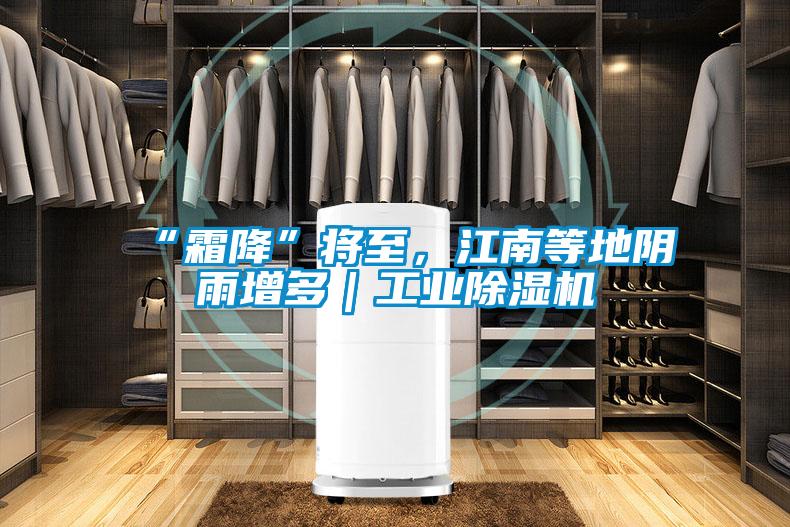 “霜降”將至，江南等地陰雨增多｜工業(yè)除濕機(jī)