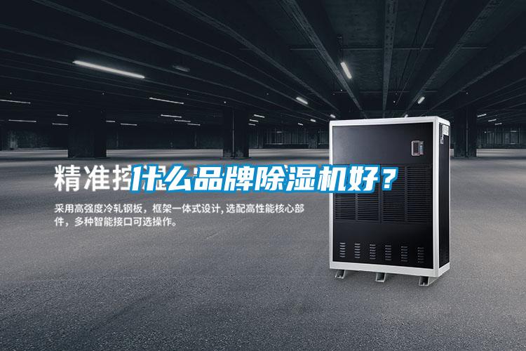 什么品牌除濕機(jī)好？
