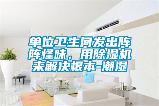 單位衛(wèi)生間發(fā)出陣陣怪味，用除濕機(jī)來解決根本-潮濕