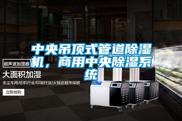 中央吊頂式管道除濕機(jī)，商用中央除濕系統(tǒng)