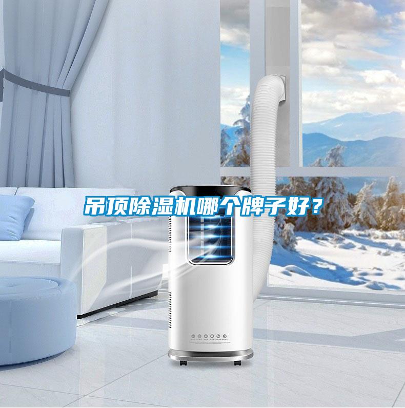 吊頂除濕機(jī)哪個牌子好?