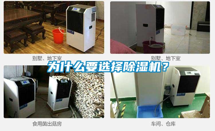 為什么要選擇除濕機(jī)？