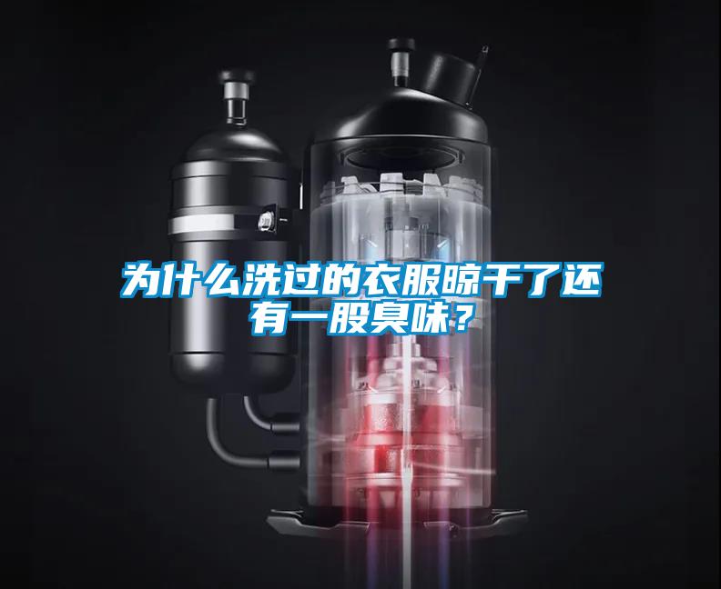 為什么洗過的衣服晾干了還有一股臭味？