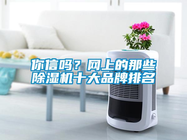你信嗎？網(wǎng)上的那些除濕機十大品牌排名
