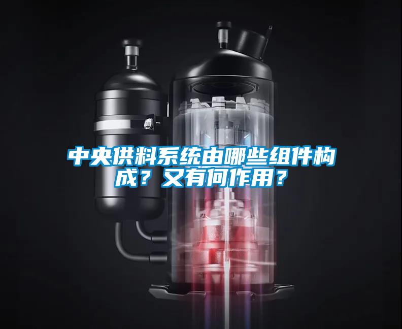中央供料系統(tǒng)由哪些組件構(gòu)成？又有何作用？