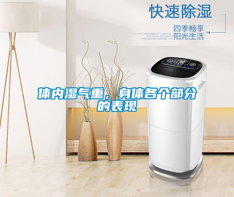 體內濕氣重，身體各個部分的表現(xiàn)