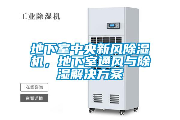 地下室中央新風(fēng)除濕機(jī)，地下室通風(fēng)與除濕解決方案