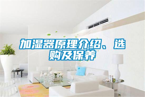 加濕器原理介紹、選購(gòu)及保養(yǎng)