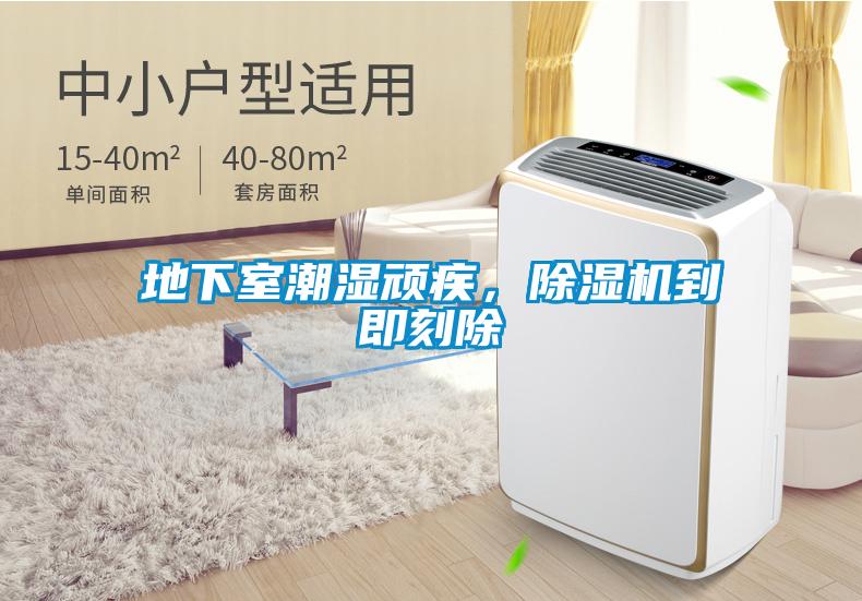 地下室潮濕頑疾，除濕機到即刻除