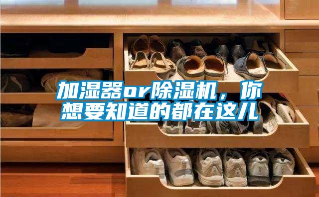 加濕器or除濕機(jī),你想要知道的都在這兒