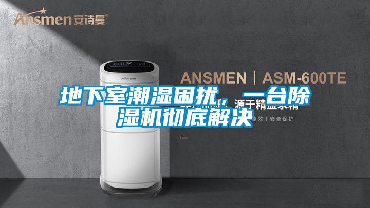 地下室潮濕困擾，一臺除濕機徹底解決