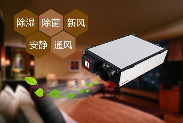 制作花紙的車間倉(cāng)庫(kù)，用工業(yè)除濕機(jī)顯得尤為重要