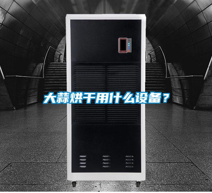 大蒜烘干用什么設(shè)備？