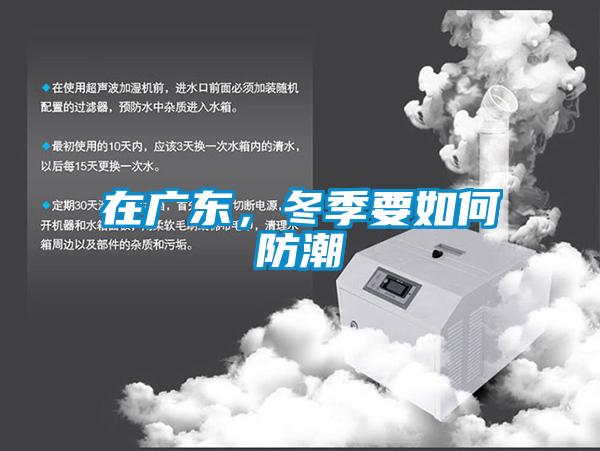在廣東，冬季要如何防潮