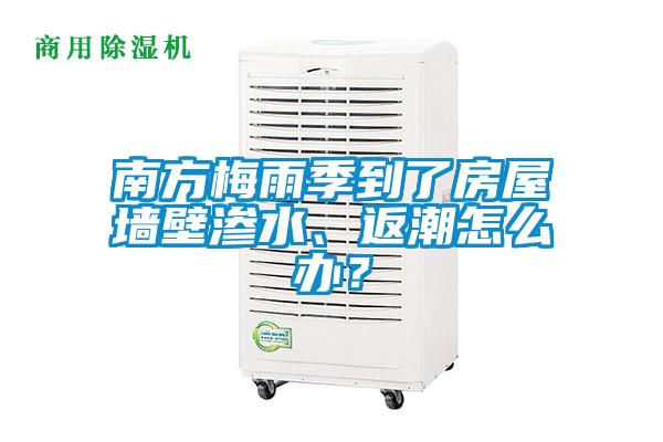南方梅雨季到了房屋墻壁滲水、返潮怎么辦？