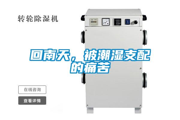 回南天，被潮濕支配的痛苦