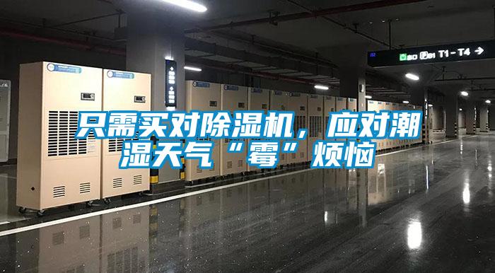 只需買(mǎi)對(duì)除濕機(jī)，應(yīng)對(duì)潮濕天氣“霉”煩惱