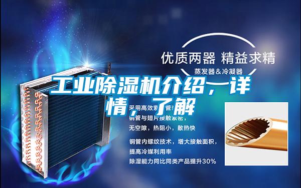 工業(yè)除濕機(jī)介紹，詳情，了解
