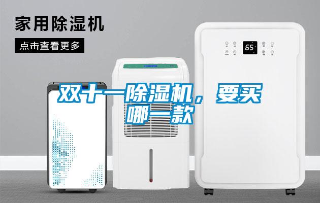 雙十一除濕機(jī)，要買(mǎi)哪一款