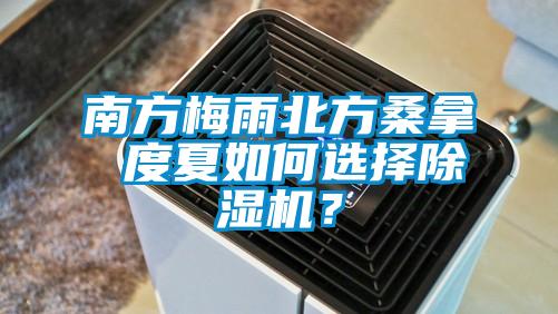南方梅雨北方桑拿 度夏如何選擇除濕機(jī)？