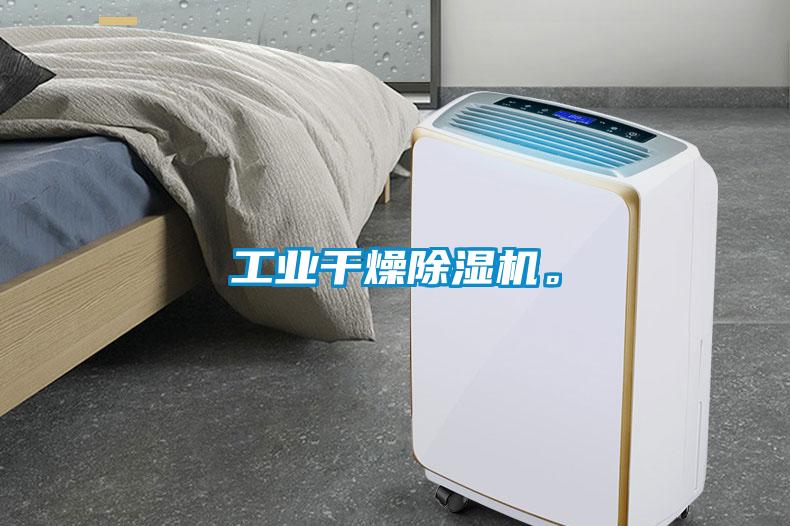 工業(yè)干燥除濕機。