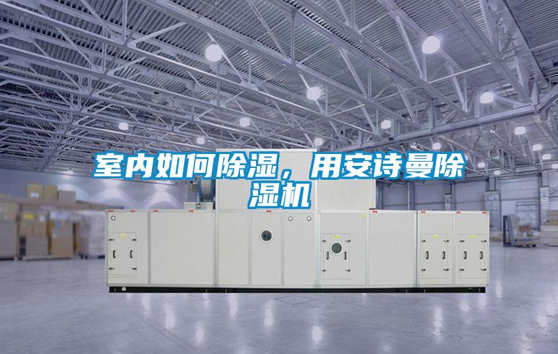 室內(nèi)如何除濕，用安詩曼除濕機