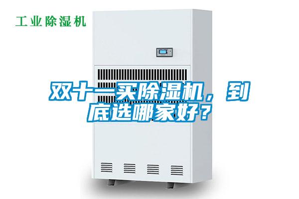 雙十一買除濕機(jī)，到底選哪家好？