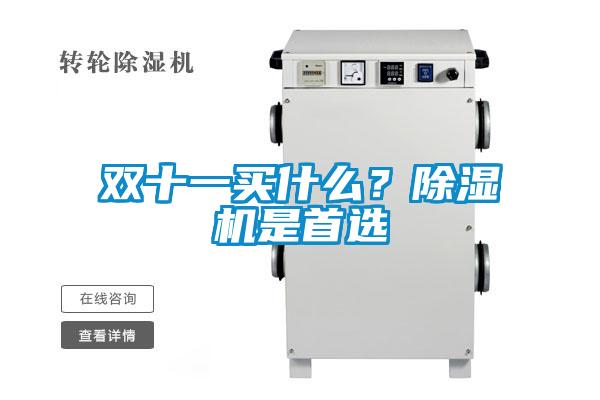 雙十一買什么？除濕機(jī)是首選