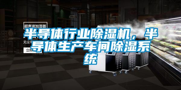半導(dǎo)體行業(yè)除濕機(jī)，半導(dǎo)體生產(chǎn)車(chē)間除濕系統(tǒng)