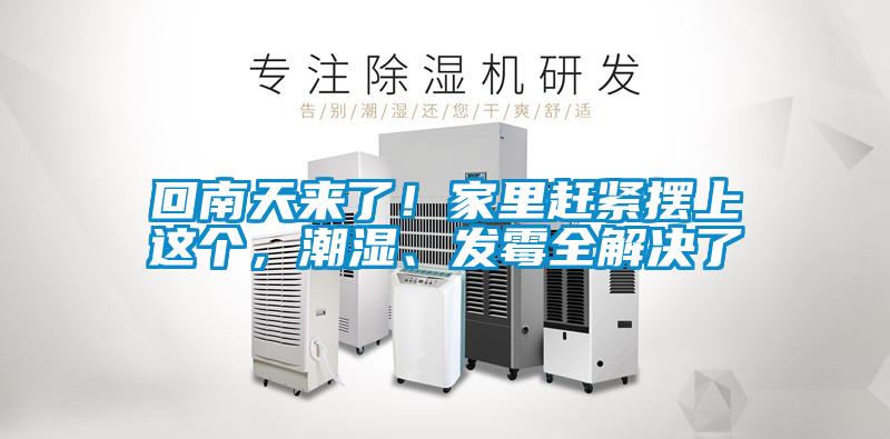 回南天來了！家里趕緊擺上這個，潮濕、發(fā)霉全解決了