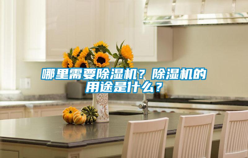哪里需要除濕機(jī)？除濕機(jī)的用途是什么？