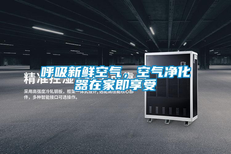 呼吸新鮮空氣，空氣凈化器在家即享受