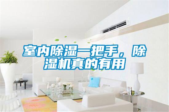 室內(nèi)除濕一把手，除濕機(jī)真的有用