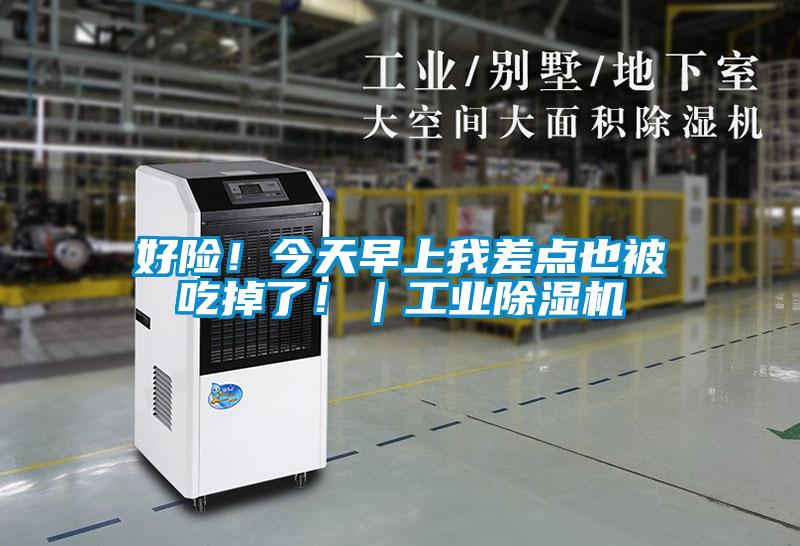 好險！今天早上我差點(diǎn)也被吃掉了?。I(yè)除濕機(jī)