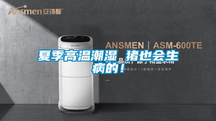 夏季高溫潮濕 豬也會生病的！