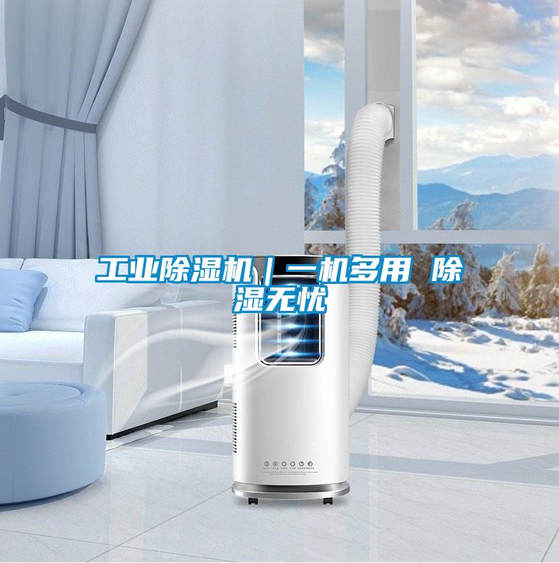 工業(yè)除濕機(jī)｜一機(jī)多用 除濕無(wú)憂