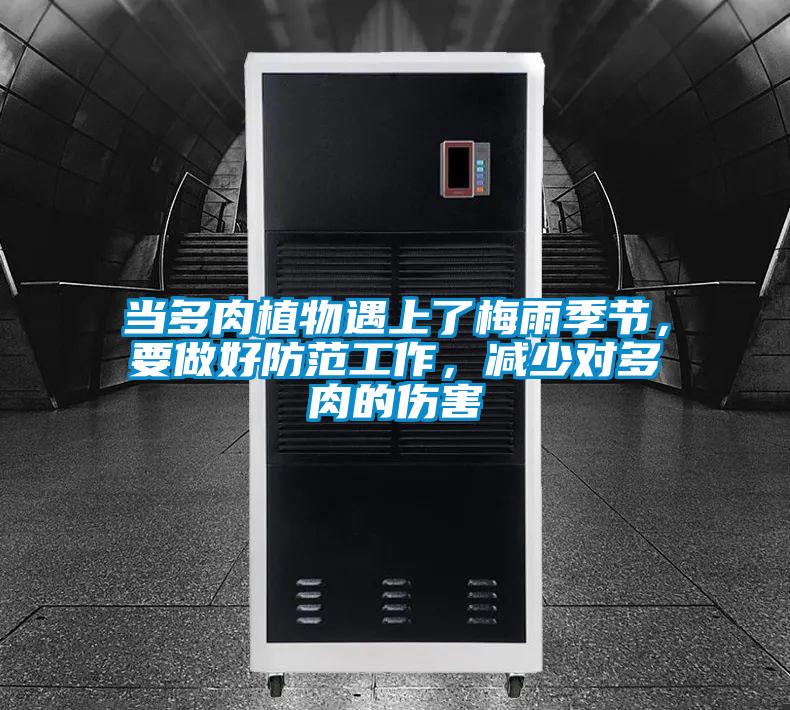 當多肉植物遇上了梅雨季節(jié)，要做好防范工作，減少對多肉的傷害