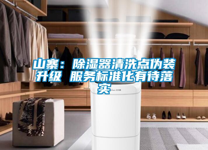 山寨:除濕器清洗點(diǎn)偽裝升級(jí) 服務(wù)標(biāo)準(zhǔn)化有待落實(shí)